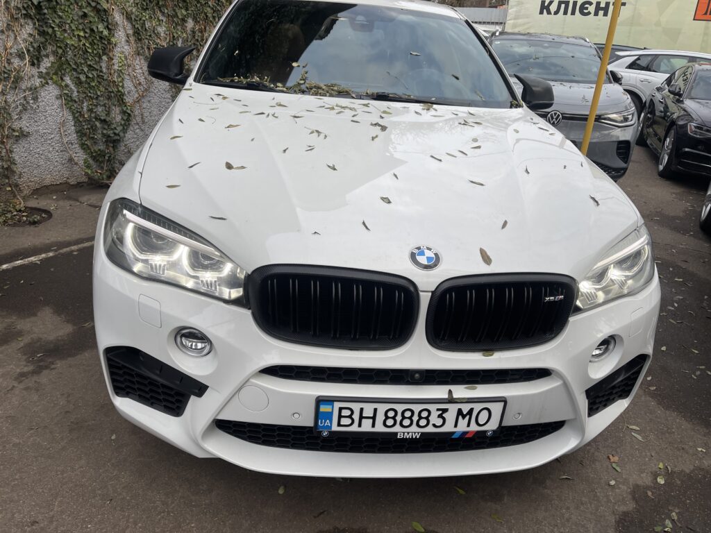 BMW   X6 2016